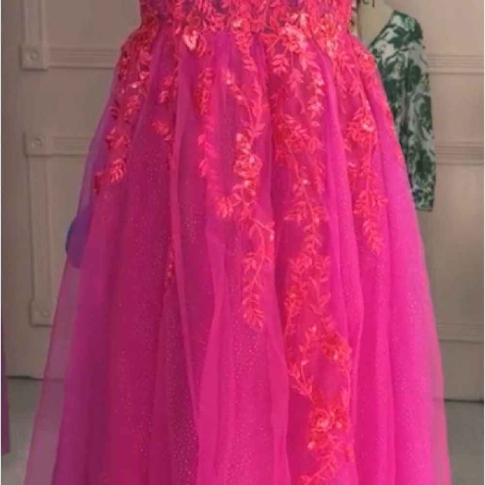 Vibrant Pink Gown with Embroidered Details - Picture 12 of 12